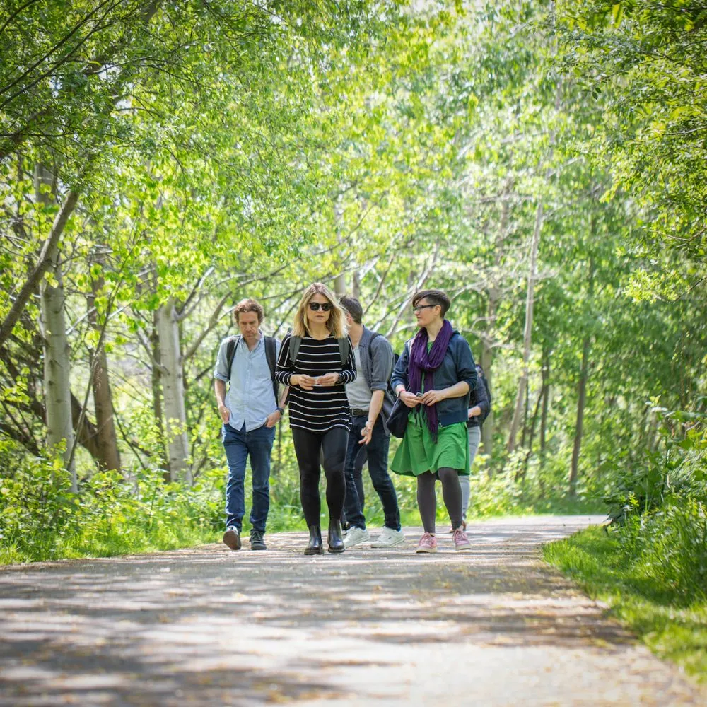 Bosrijk wandelpad in de herfst